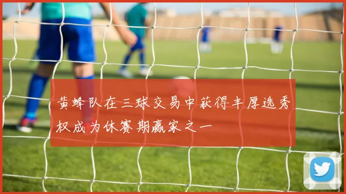 黄蜂队在三球交易中获得丰厚选秀权成为休赛期赢家之一