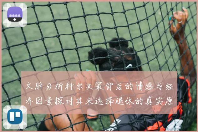 文胖分析科尔决策背后的情感与经济因素探讨其未选择退休的真实原因