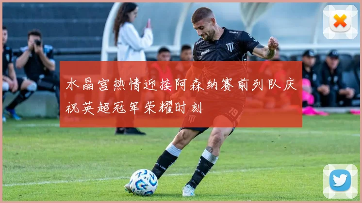 水晶宫热情迎接阿森纳赛前列队庆祝英超冠军荣耀时刻